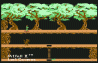 Java 64 Emulator - Pitfall 2